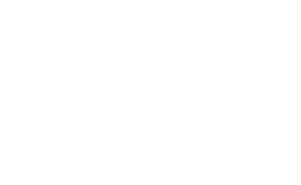 Toy Soldier Training | undefined Logo